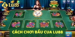 Cách Chơi Bầu Cua Luôn Thắng: Kỹ Năng Và Bí Quyết